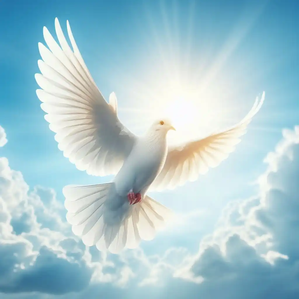 Seeing White Bird Spiritual Meaning: Discovering 17 Spiritual Symbolism