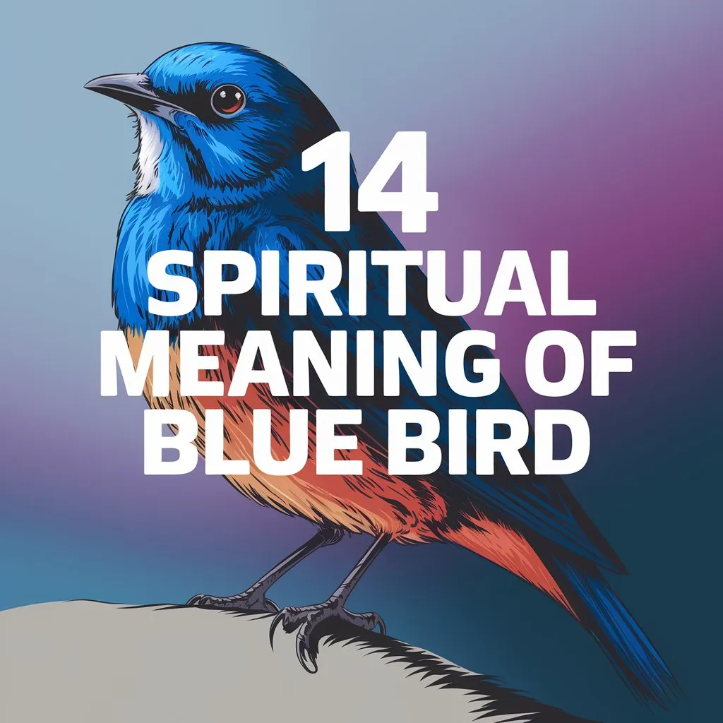 14 Spiritual Meaning Of Blue Bird: A Symbol of Hope and Happiness