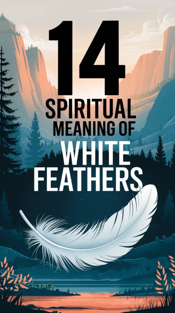 14 Spiritual Meaning of White Feathers: A Symbol of Hope and Renewal