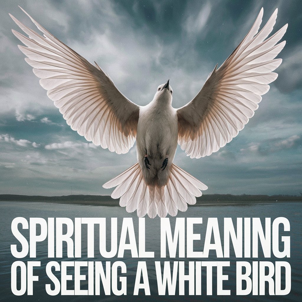 14 Spiritual Meaning of Seeing a White Bird: Uncovering the Hidden Symbolism