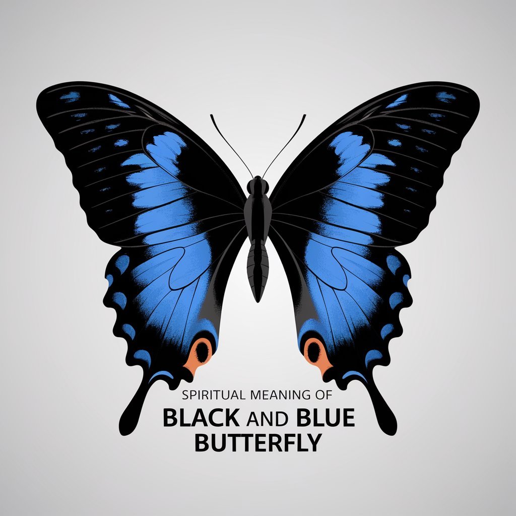 16 Spiritual Meaning of Black and Blue Butterfly