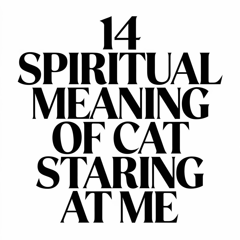 14 Spiritual Meanings of Cat Staring at Me: Spiritual Awareness