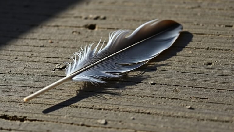 grey feather spiritual messages